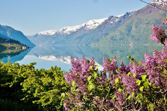 AMAZING HARDANGER FJORD: Private guided round trip from Bergen, 10 hours - Apple pie at Steinstø Fruktgard
