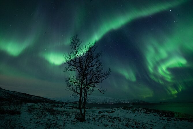 An All-Inclusive Tour - Aurora & Arctic Experience - Is $258.22 a fair price?