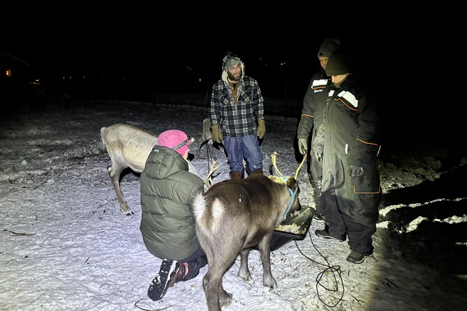 Arctic Adventure with Reindeer and Northern Lights Hunt 18:30 pm - The long ride from Kiruna to Övre-Soppero
