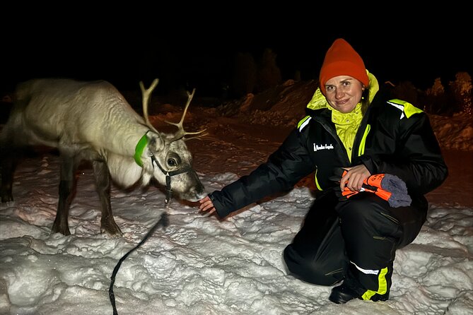 Arctic Adventure with Reindeer and Northern Lights Hunt 18:30 pm - Meeting the reindeer at feeding time