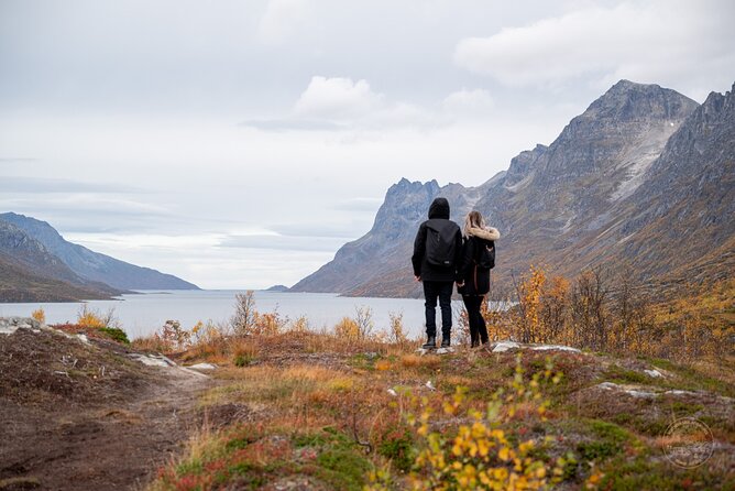 Arctic Fjord Roadtrip with Scenic Picnic from Tromso - The drive through Kvaløya and the fjord country