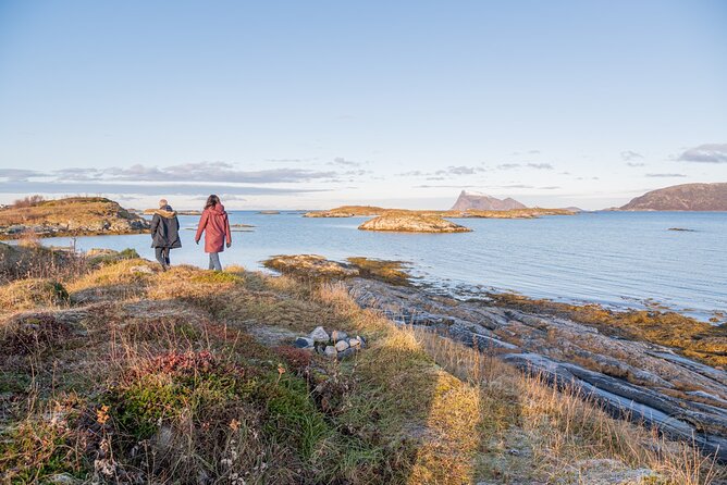 Arctic Fjord Roadtrip with Scenic Picnic from Tromso - A small group, with one comfort warning