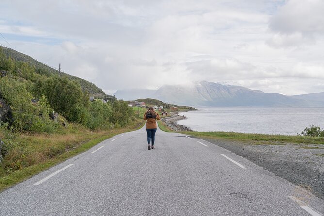 Arctic Fjord Roadtrip with Scenic Picnic from Tromso - Is $151.15 good value?