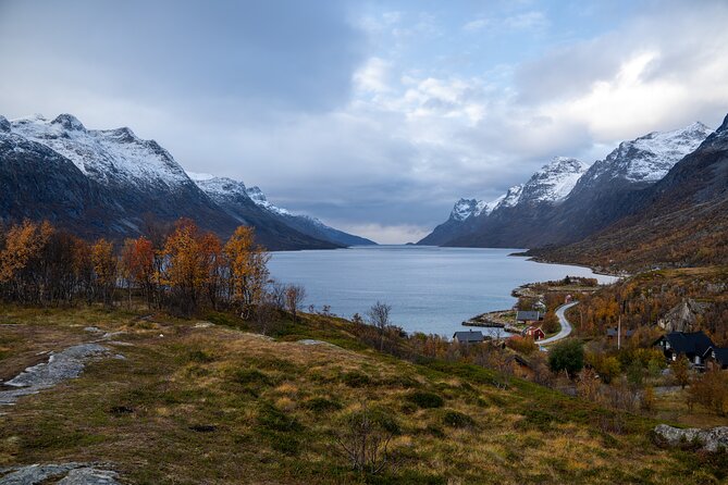 Arctic Fjord Roadtrip with Scenic Picnic from Tromso - Who should book this road trip?