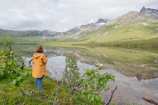 Arctic Fjord Roadtrip with Scenic Picnic from Tromso - Meeting in Tromsø and planning your day