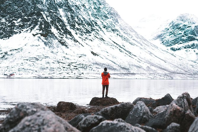 Arctic Fjord Sightseeing by Minibus - Starting in central Tromsø and heading toward Ersfjord