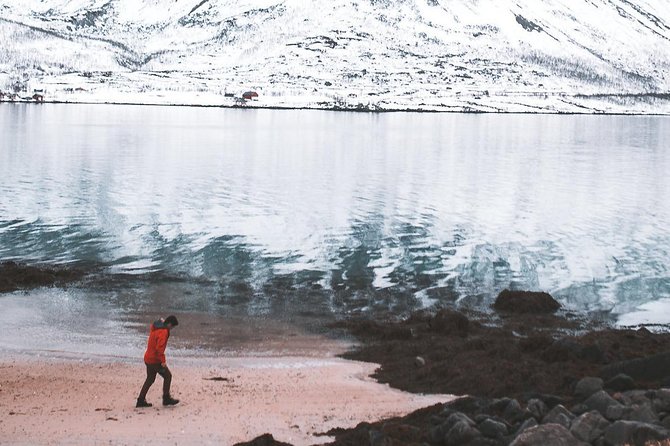 Arctic Fjord Sightseeing by Minibus - Sommarøy brings the biggest visual reward