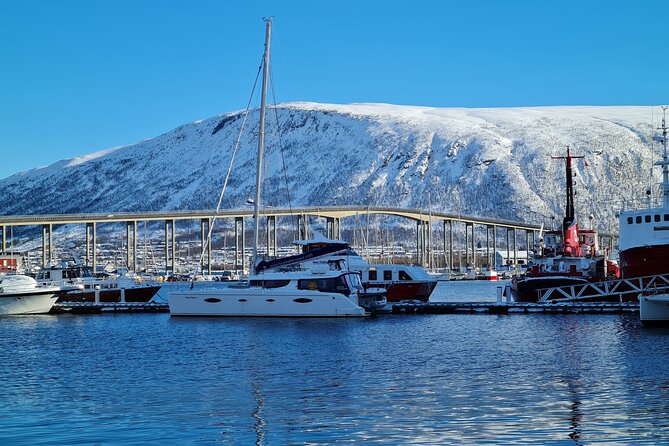 Arctic Fjordcruise & Safari in Tromso with Luxury Catamaran - Fjellheisen from a different angle