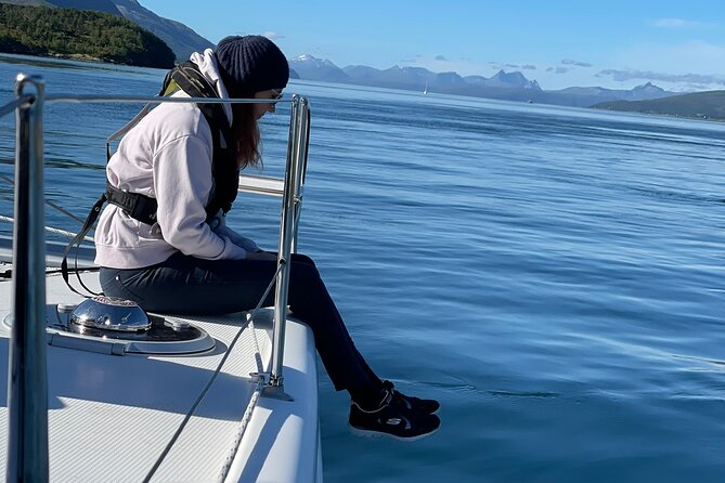 Arctic Fjordcruise & Safari in Tromso with Luxury Catamaran - WWII stories around Tromsø