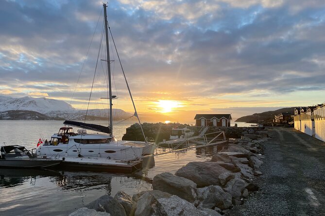 Arctic Fjordcruise & Safari in Tromso with Luxury Catamaran - A luxury catamaran made for short Arctic trips