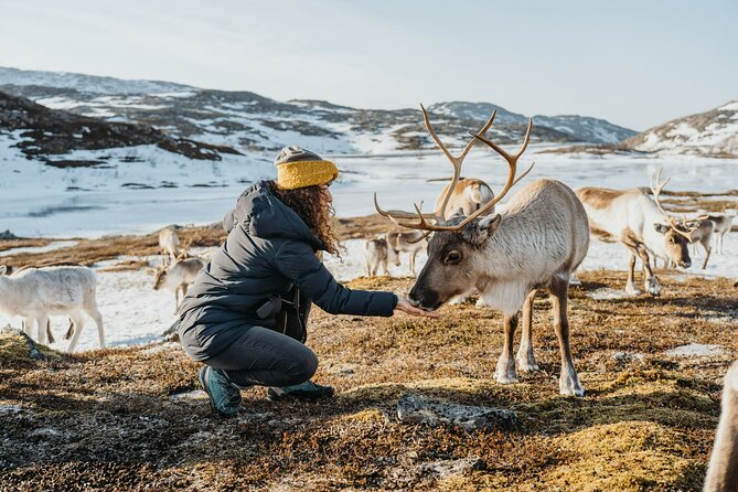 Arctic Fjords and Reindeer Experience – Small group tour - Joik and the warmth of the Sami lavvo