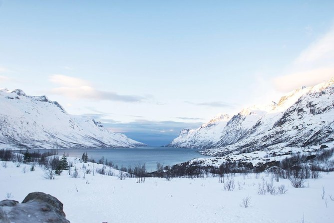 Arctic Fjords Road Trip - Leaving Tromsø at Prostneset Terminal
