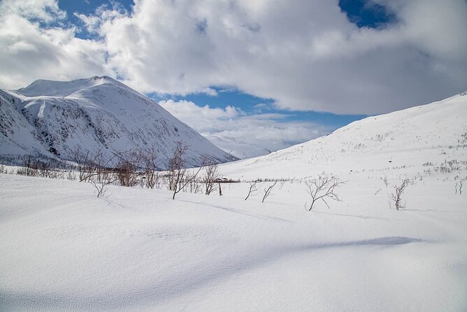 Arctic Landscapes Hiking, Sightseeing & Snowshoeing Private Tour - Walking, light hiking, or snowshoeing