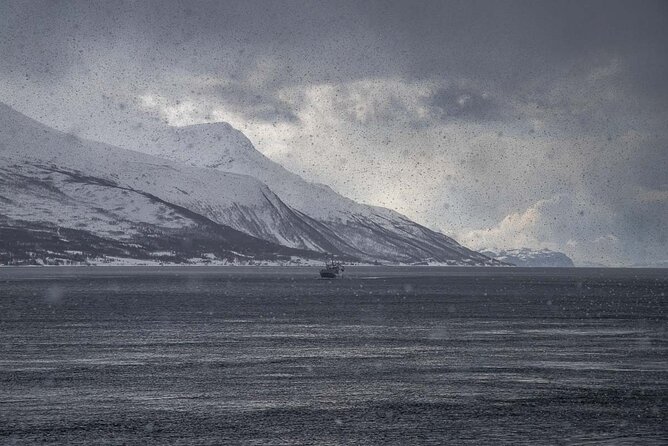 Arctic Landscapes Hiking, Sightseeing & Snowshoeing Private Tour - Soup, hot drinks, and a sensible Arctic pause