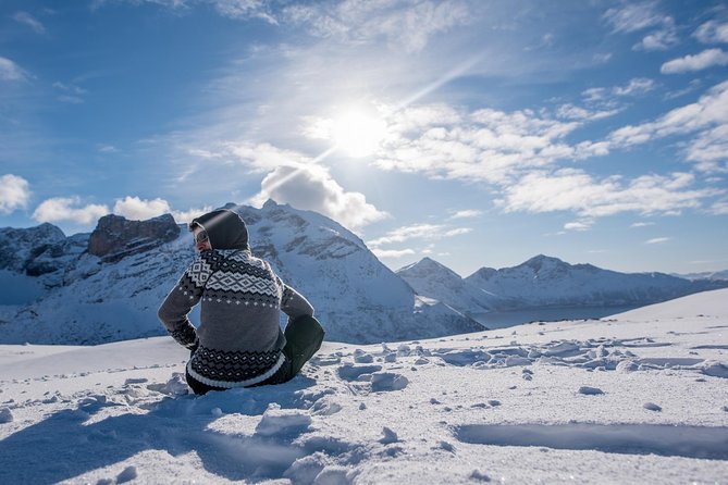 Arctic Nature Photography Sightseeing Tour from Tromso - Why Kvaløya makes a good half-day outing
