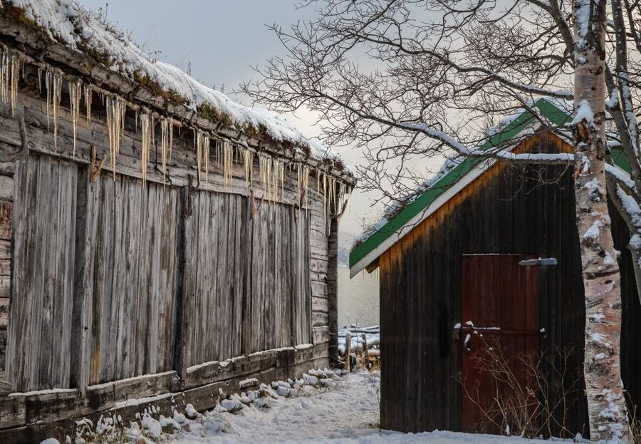 Arctic Nature Tour from Tromsø - Key points to know before booking
