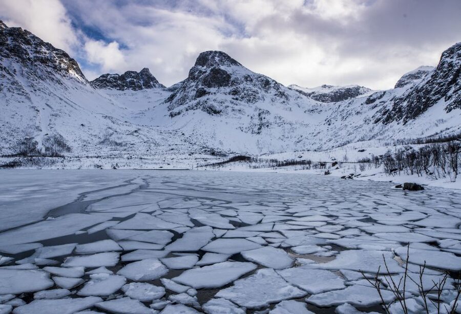 Arctic Nature Tour from Tromsø - Guide quality makes a real difference
