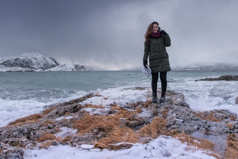 Arctic Nature Tour from Tromsø - Wildlife sightings around Kvaløya