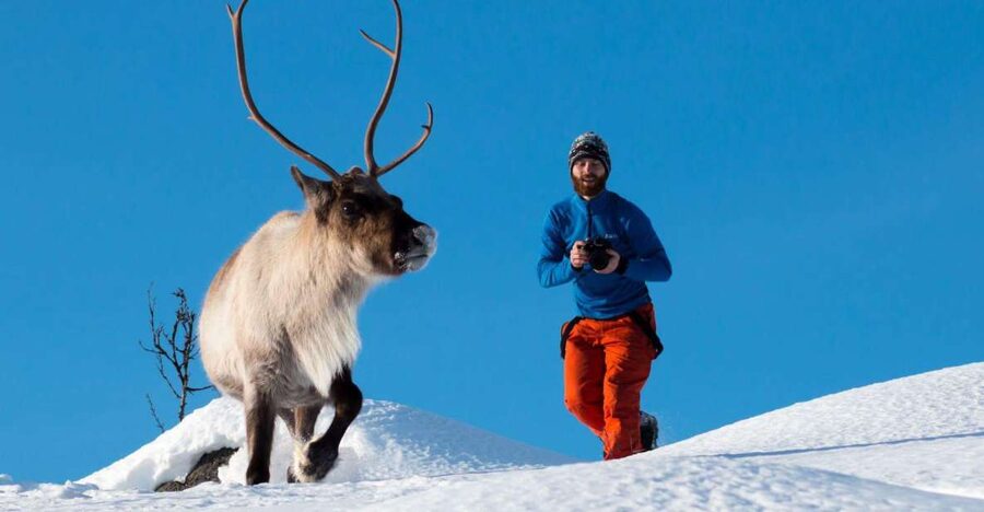 Arctic Nature Tour from Tromsø - Outdoor comfort in serious Arctic weather