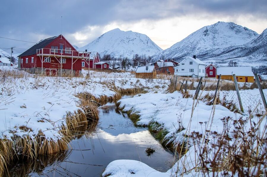 Arctic Nature Tour from Tromsø - Coffee, pastries, and a fjord-side pause