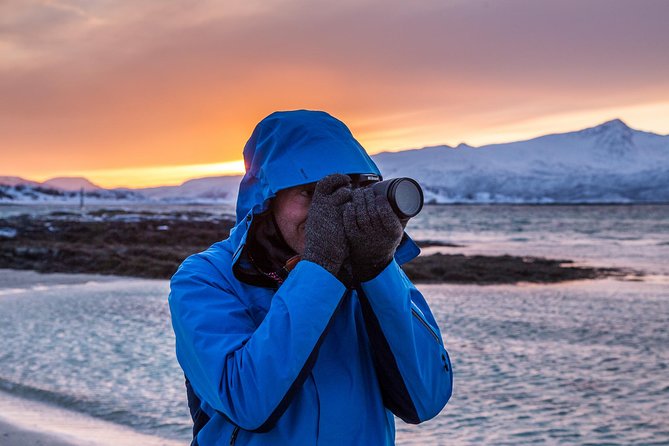 Arctic Nature Tour from Tromsø by minibus - Fjords, mountains, and the changing view