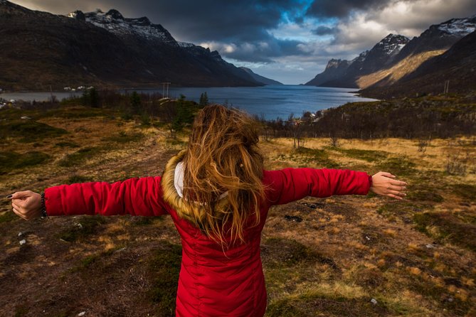 Arctic Nature Tour from Tromsø by minibus - A photo tour with nature around it