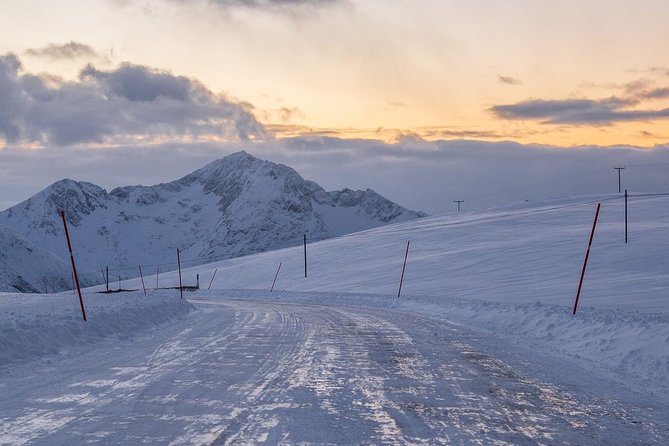 Arctic Nature Tour from Tromsø by minibus - Pastries, hot chocolate, and the beach stop