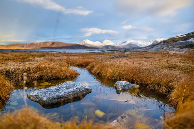 Arctic Nature Tour from Tromsø by minibus - Guides turn a drive into a local lesson
