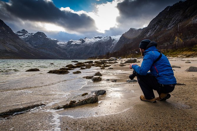 Arctic Nature Tour from Tromsø by minibus - Leaving Tromsø and finding the Arctic edge