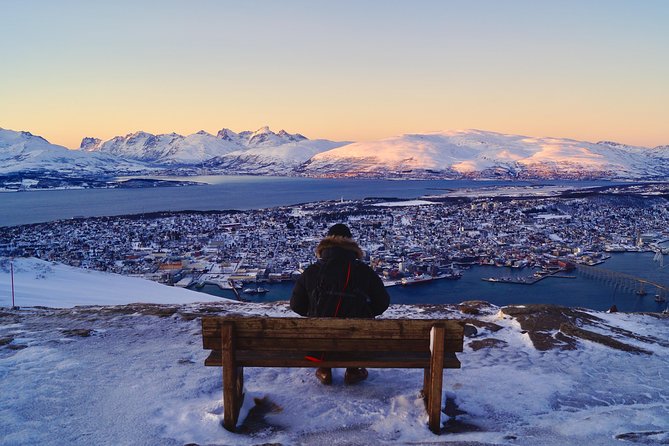 Arctic Panorama cable car excursion - Coffee, waffles, and a fire at Fjellstua