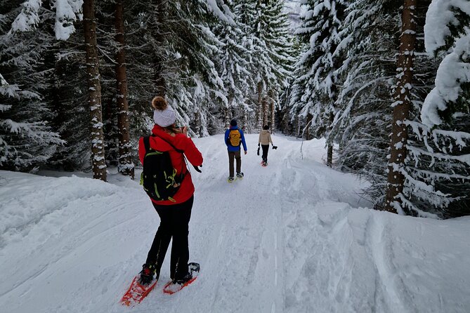 Arctic Snowshoe Hike in Norway - What the $161.82 price means