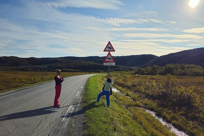 Arctic Wildlife and Fjord Sightseeing - A warm pause at Bryggejentene
