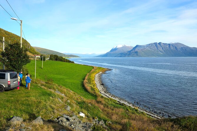 Arctic Wildlife and Fjord Sightseeing - Sommarøy, the main reward