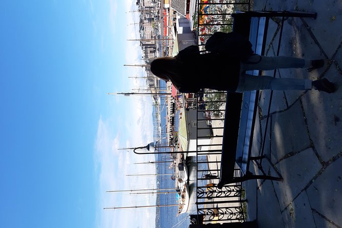 Art and Museum Tour of Oslo - The Royal Palace, Parliament, and Oslo’s main streets