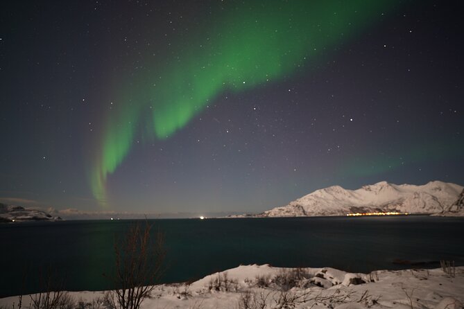 AURORA DAİLY Northern Lights Safari Tour 8 Guests with PİCKUP - Key points at a glance