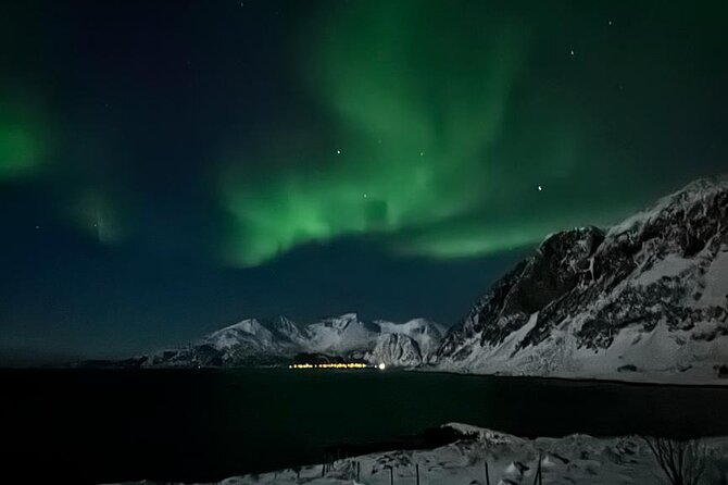 AURORA DAİLY Northern Lights Safari Tour 8 Guests with PİCKUP - How good is the value at $290.10?