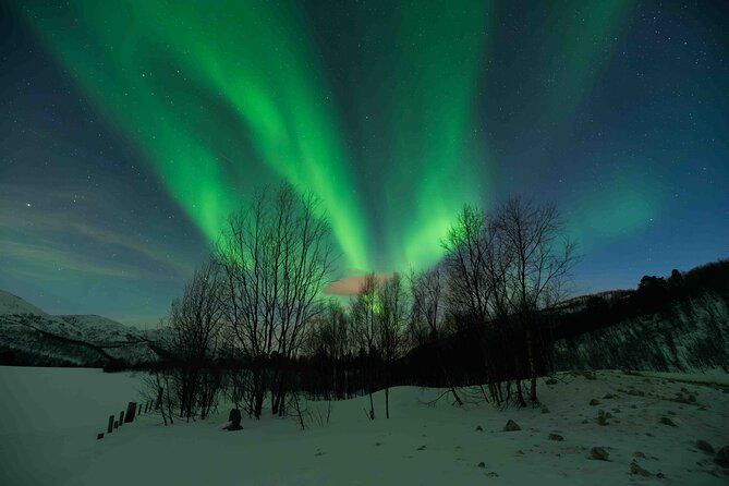 Aurora Hunt with Professional Photographer from Alta - Photographing the Northern Lights with your own camera