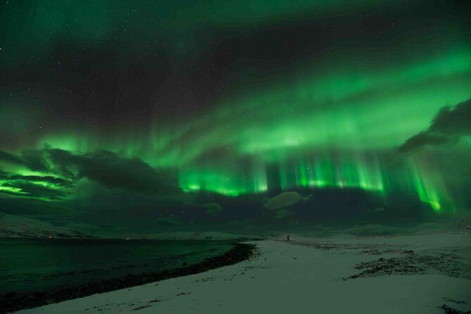 Aurora Hunt with Professional Photographer from Alta - Is $1,145 good value?