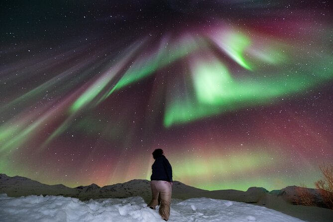 Aurora Hunt with Professional Photographer from Alta - The drive changes with the night