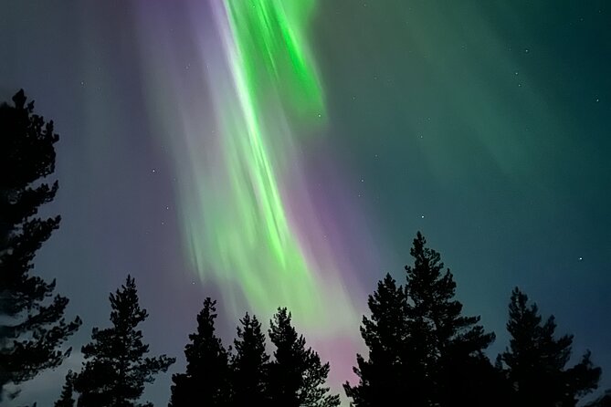 Aurora Hunting with Reindeer Caravan - Leaving Kiruna for the reindeer forest