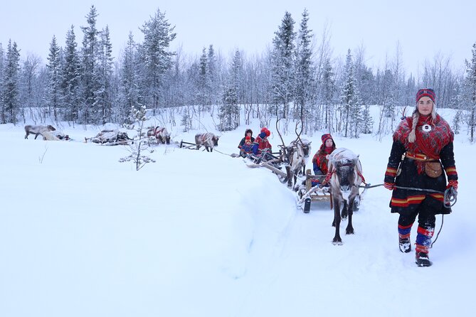 Aurora Hunting with Reindeer Caravan - Stories from Fredrik and Beatrix