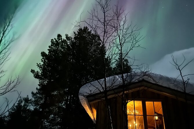 Aurora Hunting with Reindeer Caravan - Who will enjoy this Kiruna evening?