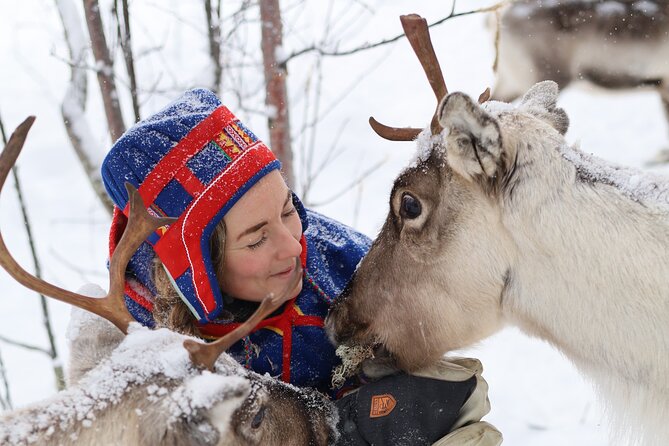 Aurora Hunting with Reindeer Caravan - Riding a reindeer sled into the silence