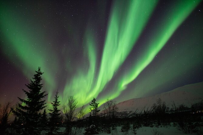 Aurora Safari Chase by big bus, free Photos, toilet onboard - What happens at the base station