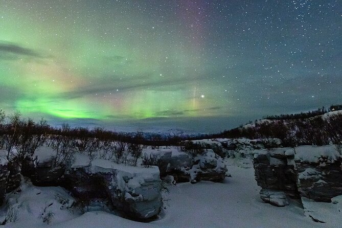 Aurora Tour with Dinner in Abisko - Key points at a glance