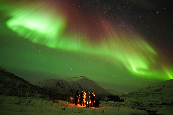 Aurora tour with free portrait and bonfire - How the guides handle uncertain weather