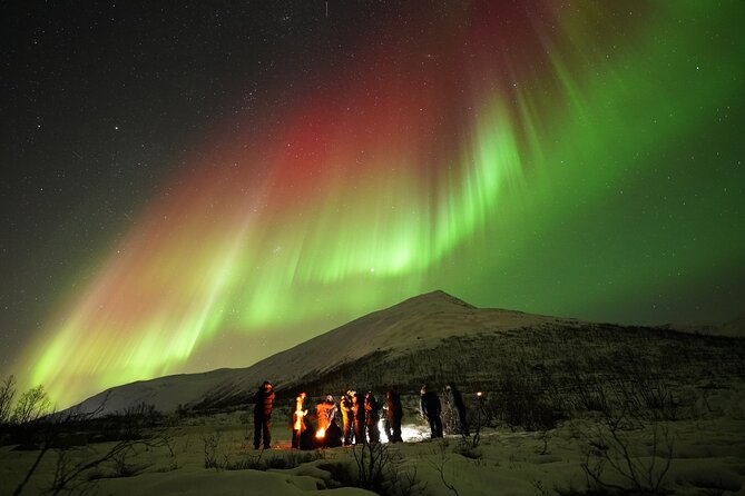 Aurora tour with free portrait and bonfire - Scenic stops before the aurora hunt