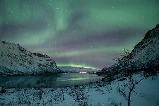 Auroras Hunt - Tour in Spanish, Northern Lights Chase in Spanish - What the guide adds to the night