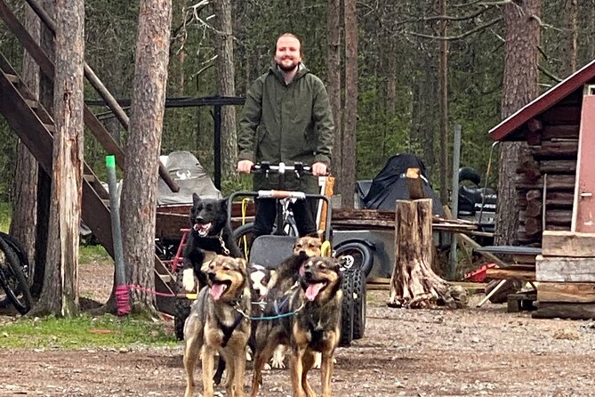 Autumn Husky Sit and Drive Cart Tour from Kiruna - Meeting Kent, Helena, and the husky team