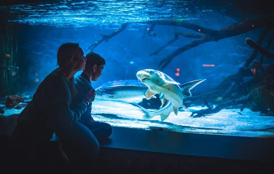 Bergen: Bergen Aquarium Entry Ticket - Crocodiles, snakes, and geckos change the pace